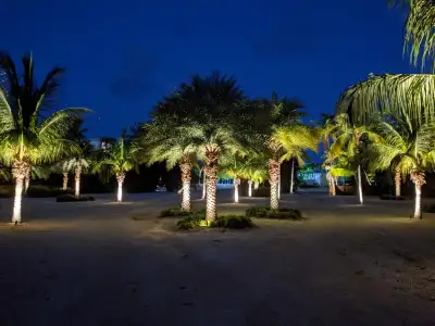 The Oasis — photo 15