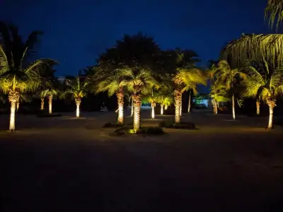 The Oasis — photo 16