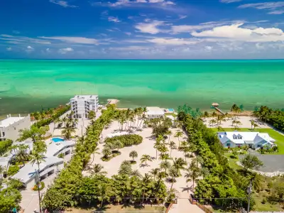 The Oasis — photo 32